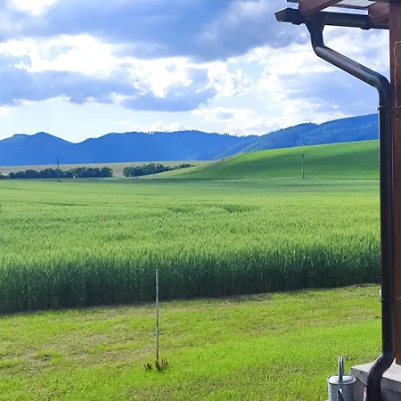 Campo *
